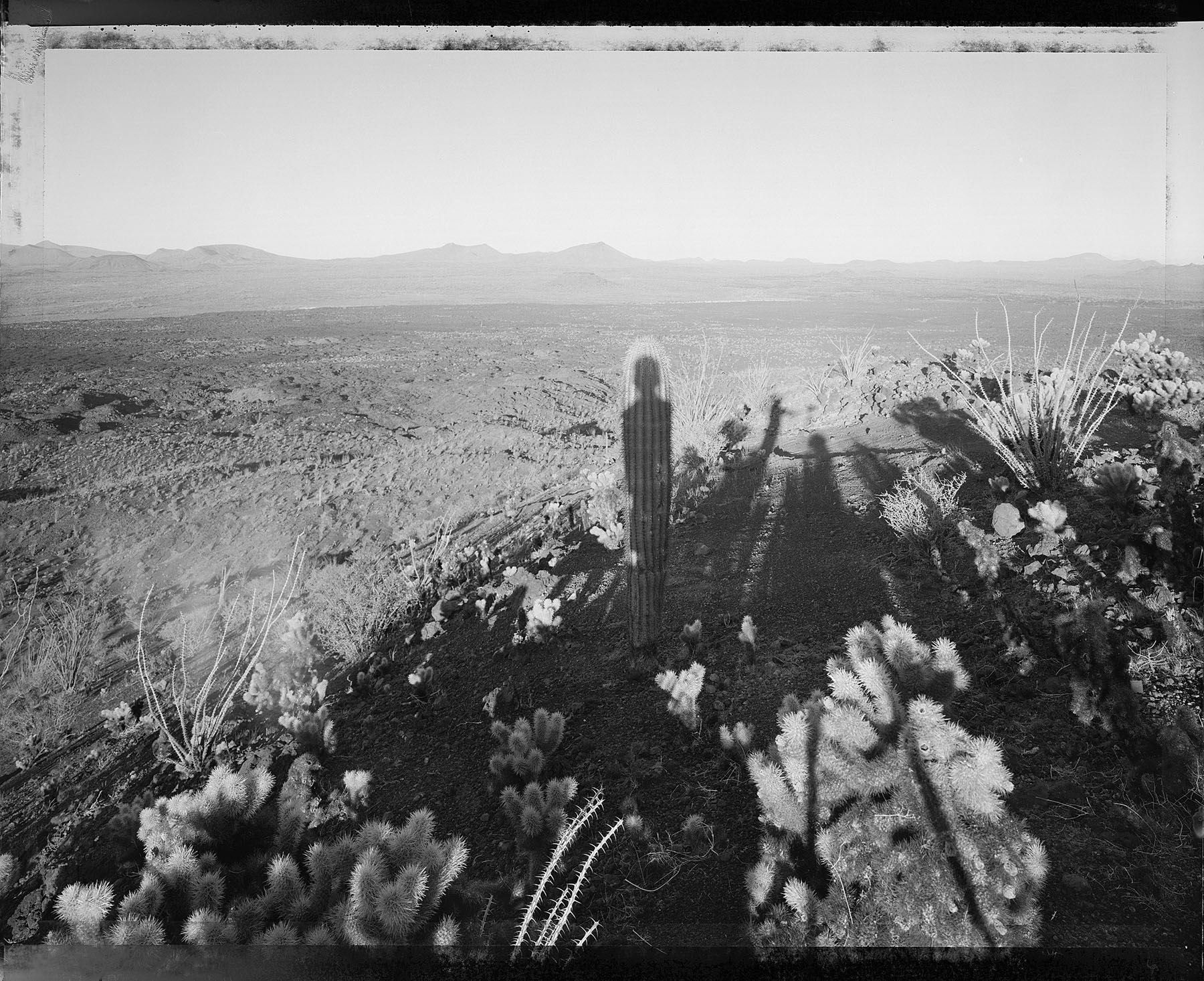 Mark Klett, Self Portrait with Saguaro, About My Same Age, Pinacate, 10/29/99, 1999. Gelatin silver print. Courtesy of the artist.